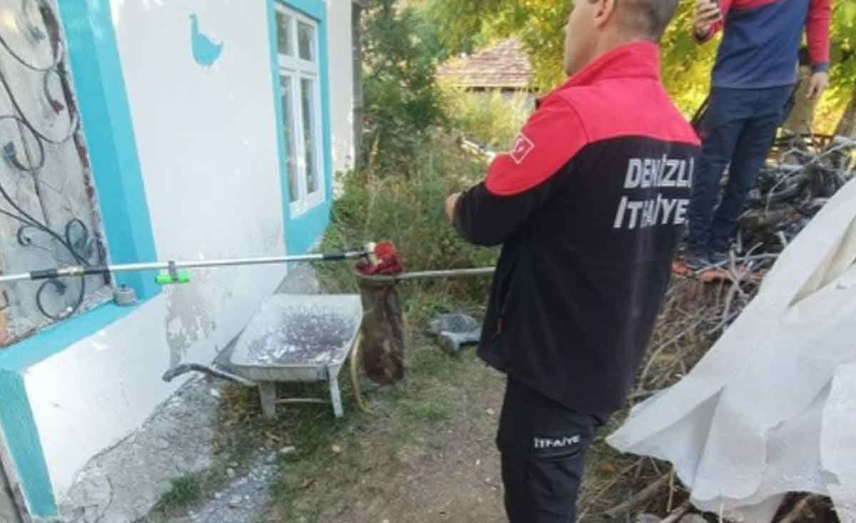 Denizlinin O Mahallesinde 2 Metrelik Yilan Panigi 2