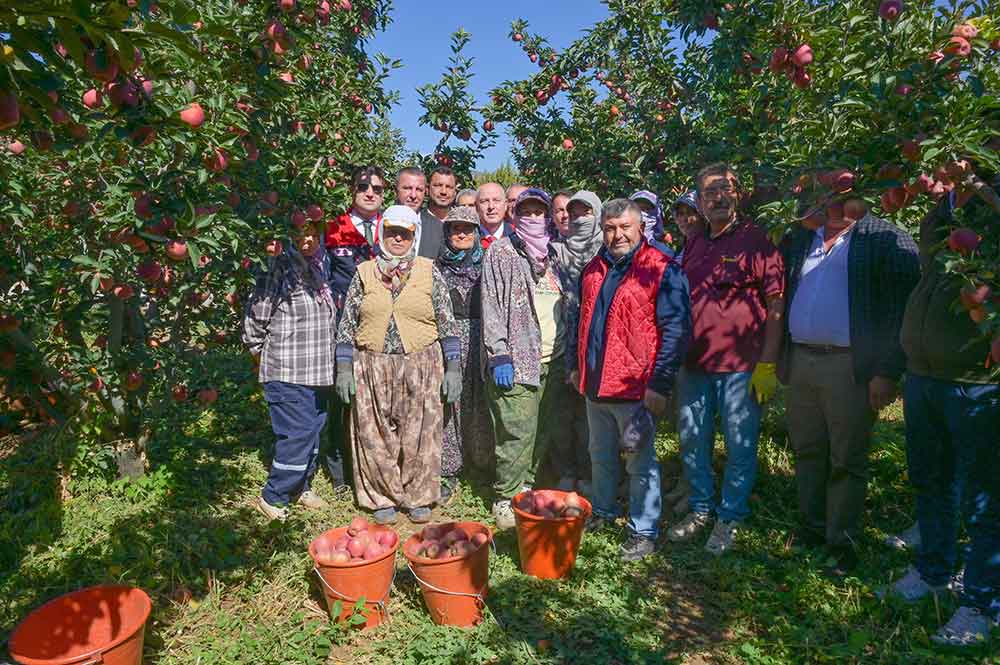 Egenin Elma Deposu Civrilde Hasat Basladi 2
