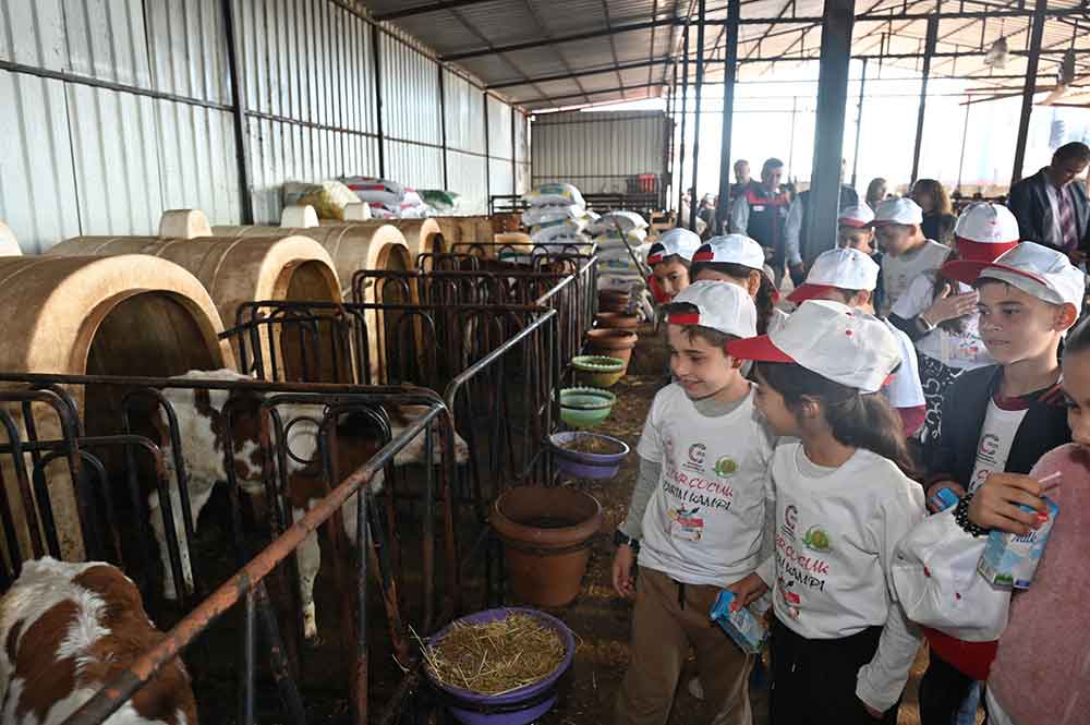 Lider Cocuk Tarim Kampi 2025Te Kooperatifcilik Temasiyla Acipayamda Gerceklestirildi