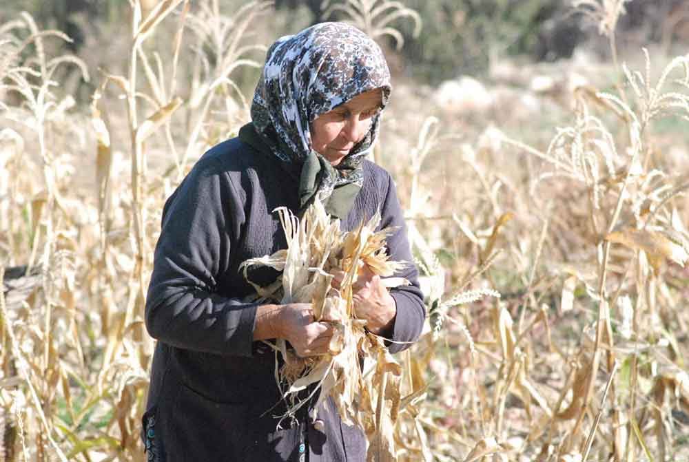 Calda Kesfedilen Benzersiz Dokuma Ornegi Misir Kapcigi Hasir Dokuma 1