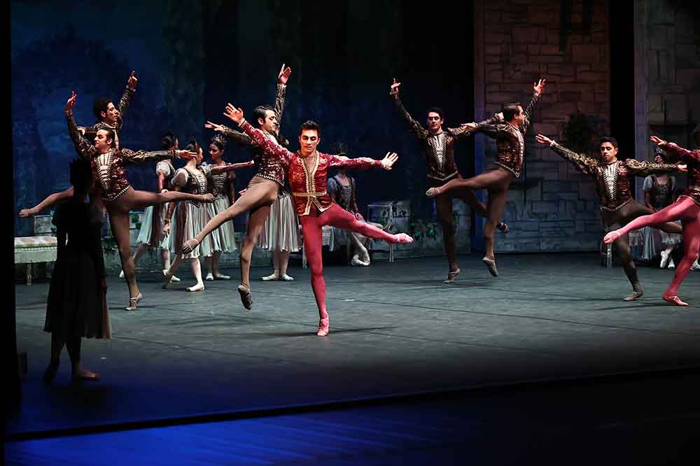 Caykovskinin Kugu Golu Balesi Denizlide 1