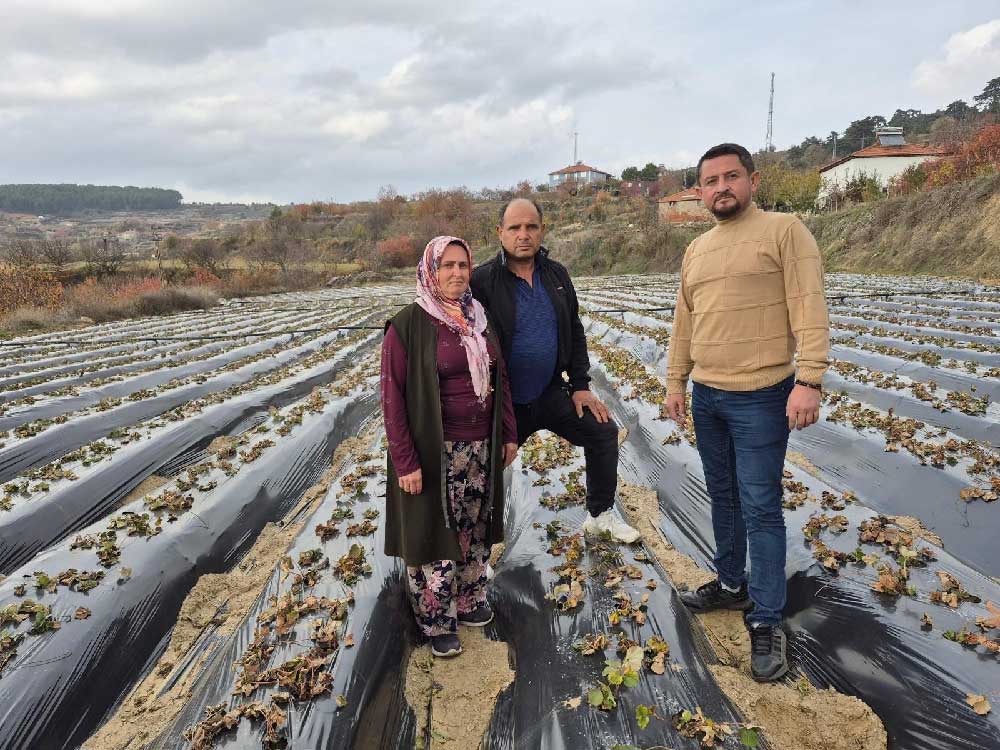 Cilek Ureticilerinin Tarlada Hummali Calismasi Devam Ediyor 2