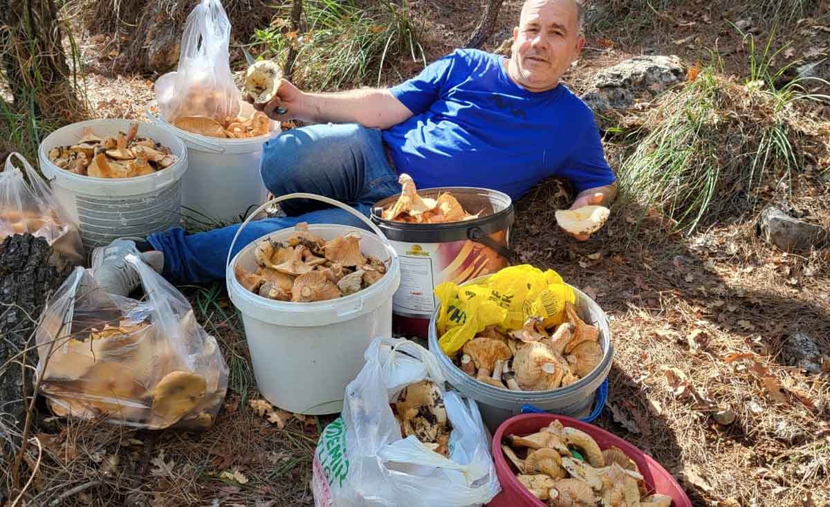 Denizli Acipayamda Cintar Bereketi 1