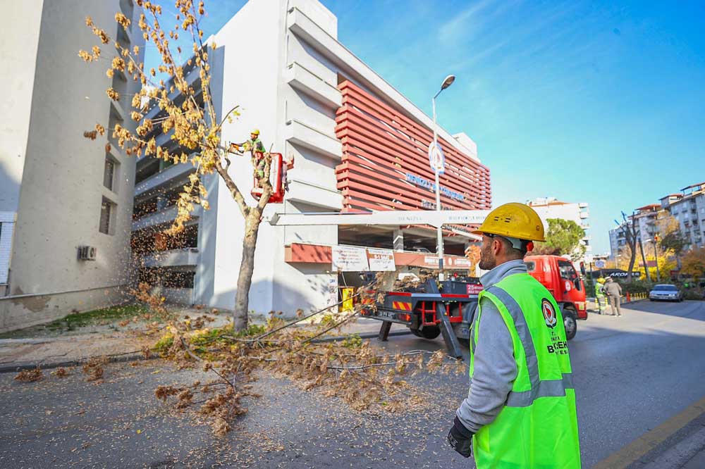Denizli Budama Calismalari Devam Ediyor2