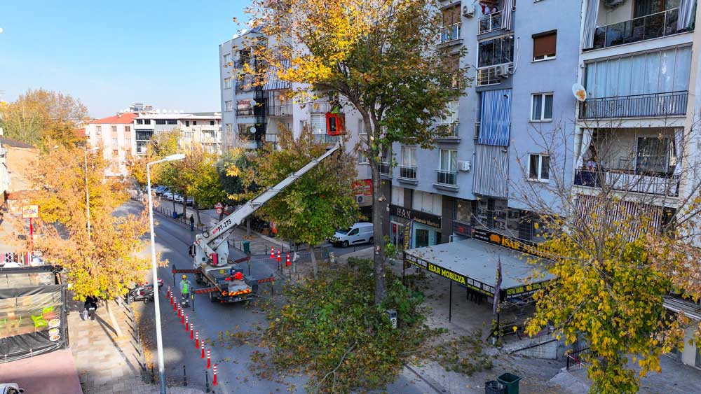 Denizli Budama Calismalari Devam Ediyor3