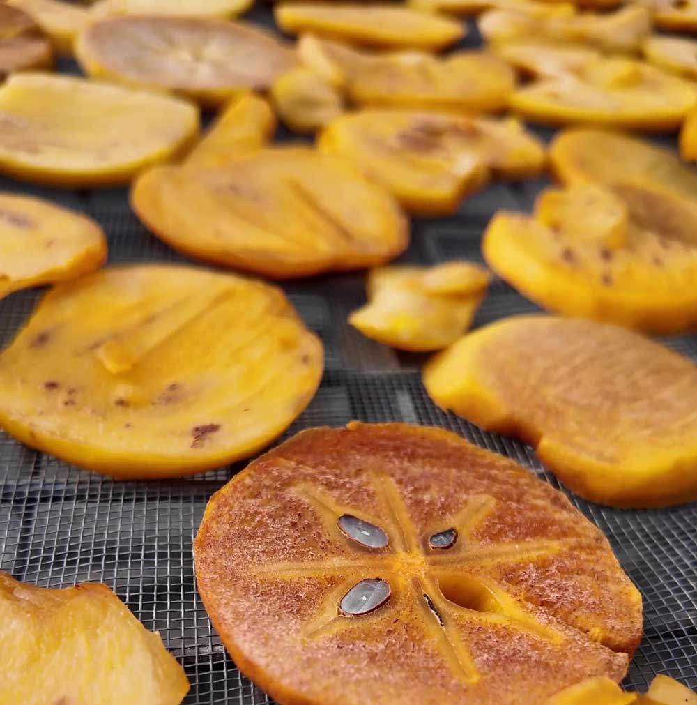 Denizli Cennet Hurmasi Cips Yapimi1