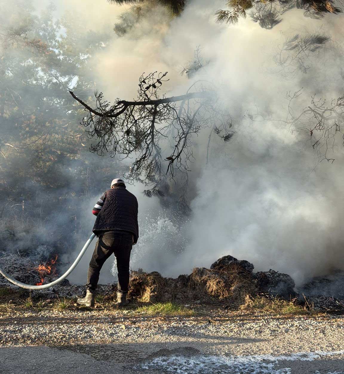 Denizli Orman Yangini Sut Toplayicisi4