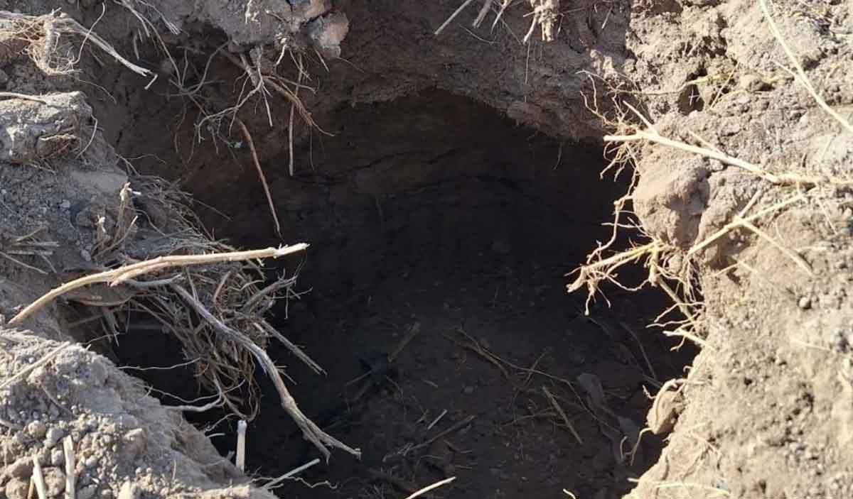 Denizlide Tarlada Olusan Obruk Korkuttu 1