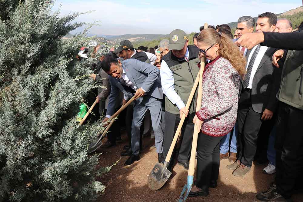 Denizlide Yanan Alanlarda Binlerce Fidan Toprakla Bulustu 1