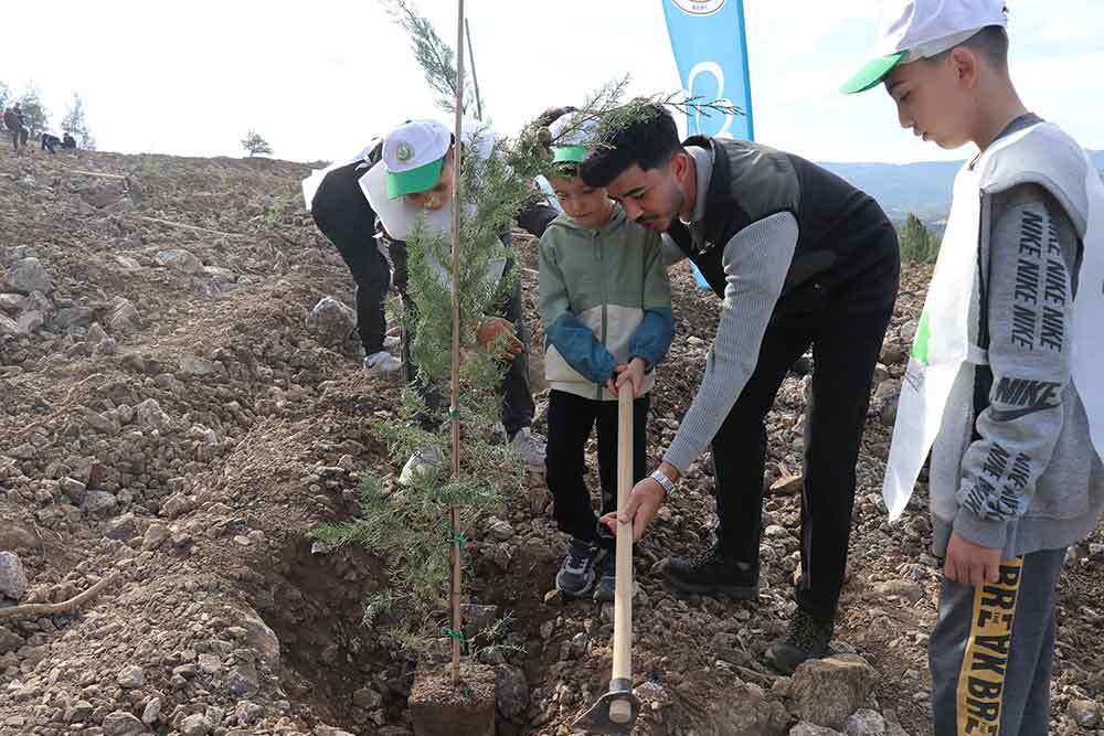Denizlide Yanan Alanlarda Binlerce Fidan Toprakla Bulustu