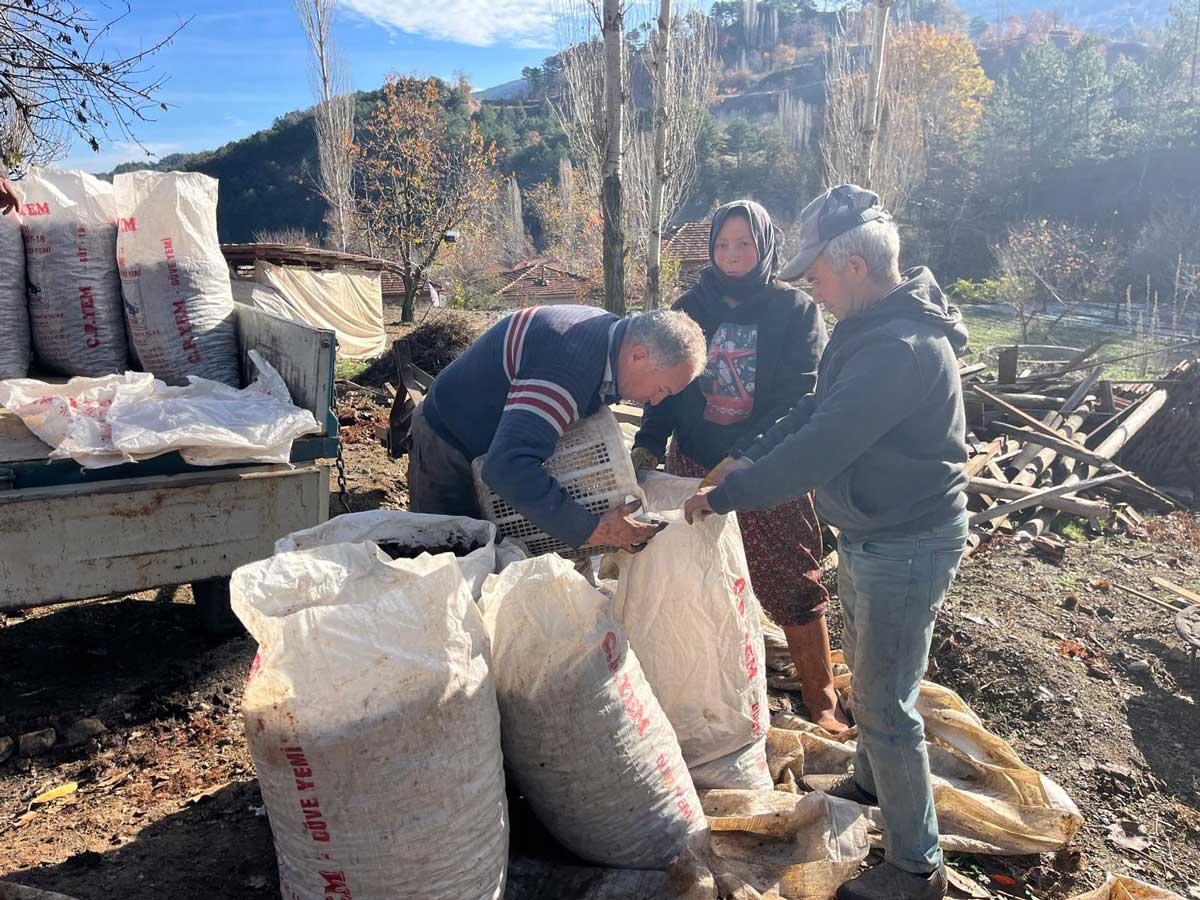 Denizli Buldan Kestanesi2