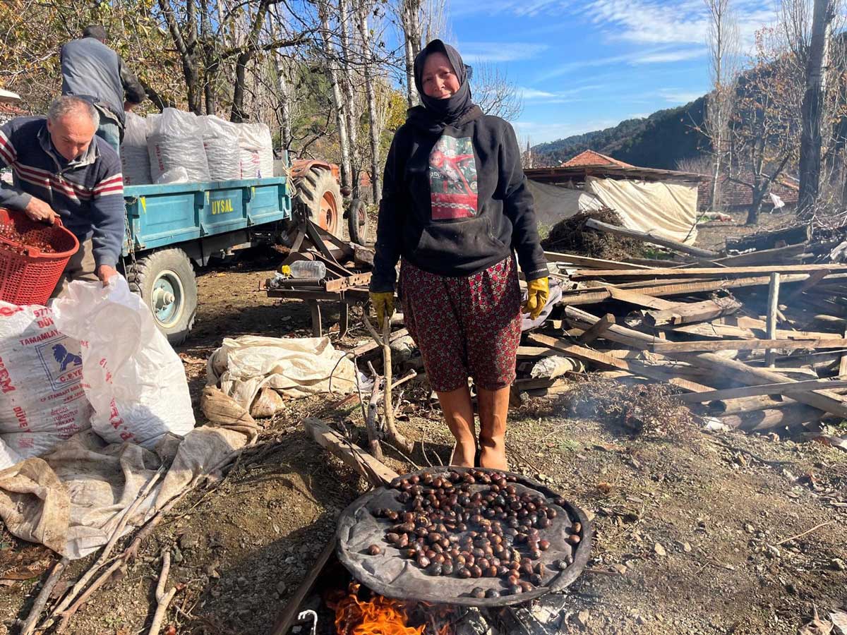 Denizli Buldan Kestanesi4