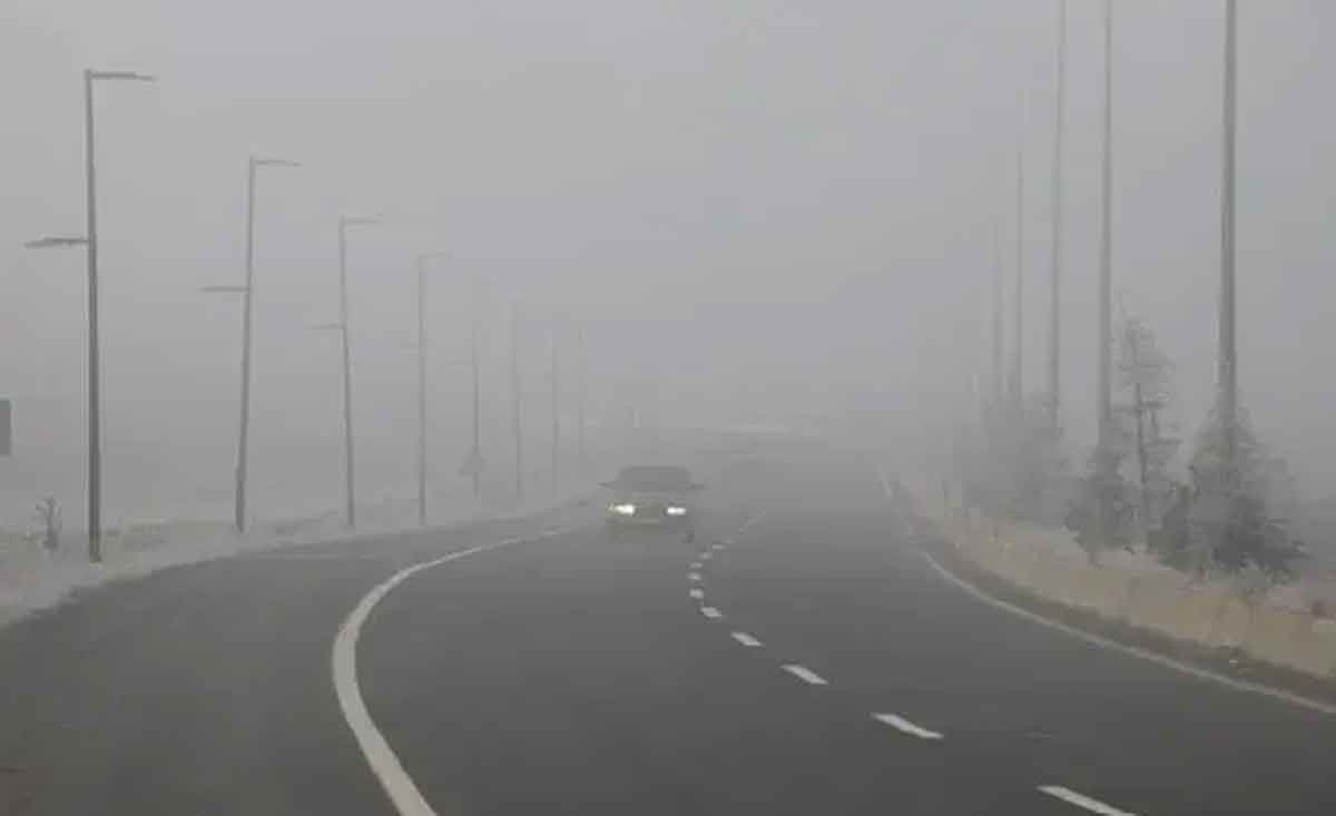 Denizlide Yogun Sis Ulasimi Olumsuz Etkiledi 1 1