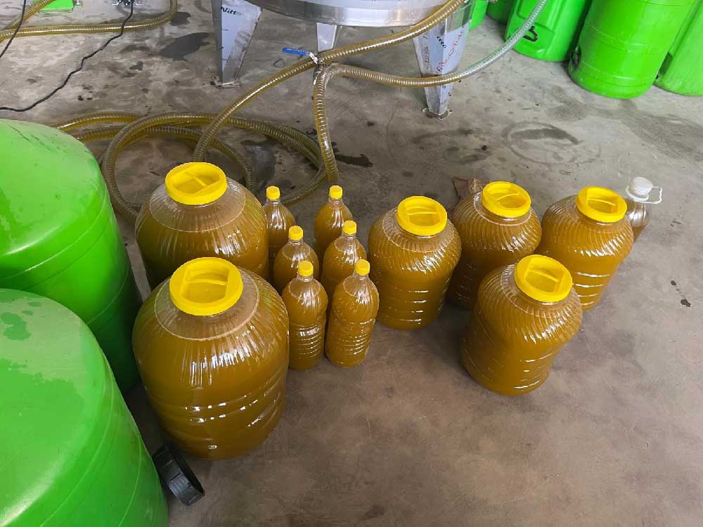 Kara Meyve Altin Siviya Donusuyor 1