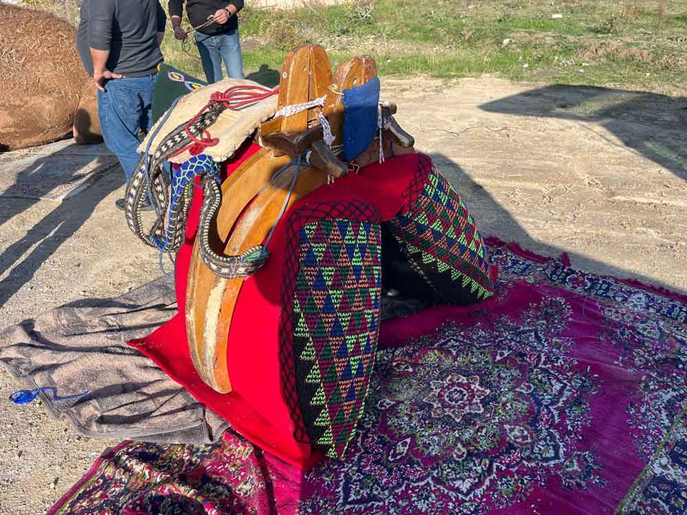 Sampiyon Devenin Havudu Dualarla Takildi 3