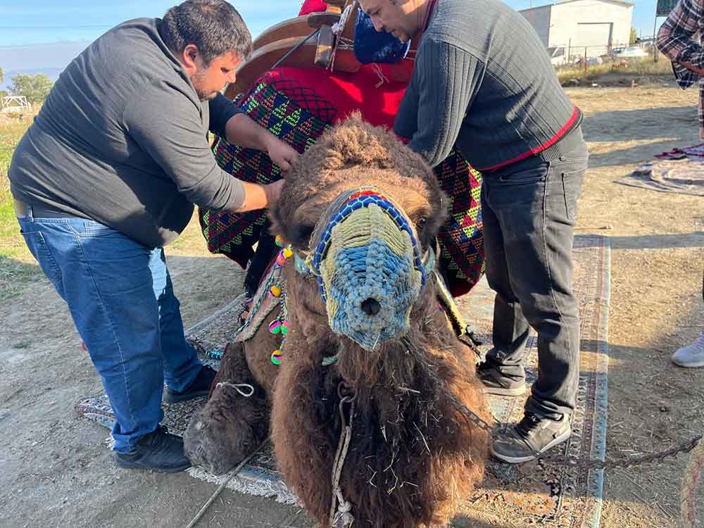 Sampiyon Devenin Havudu Dualarla Takildi 4