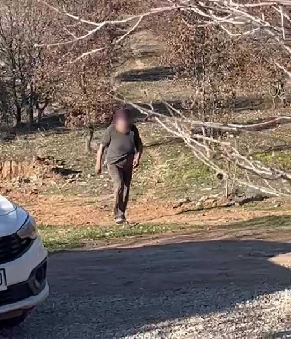 Sokak Hayvanlari Icin Kurulan Sozde Barinak Kopekler Aciktan Birbirini Yedi 8