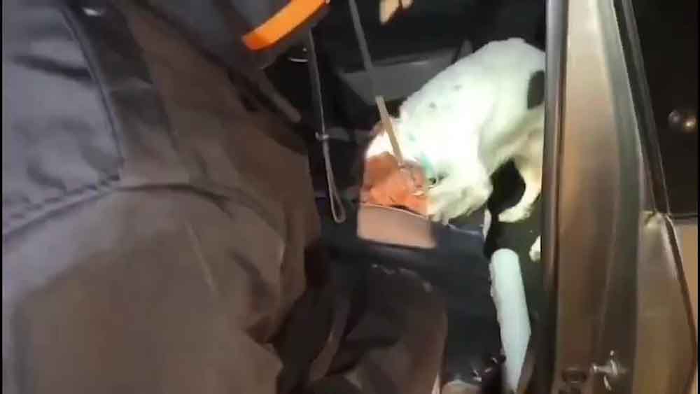 Denizlide Arama Yapilan Aracta 15 Kilogram Metamfetamin Ele Gecirildi 4