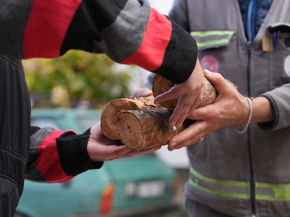 Denizlide Budanan Agaclar Yuvalari Isitiyor3