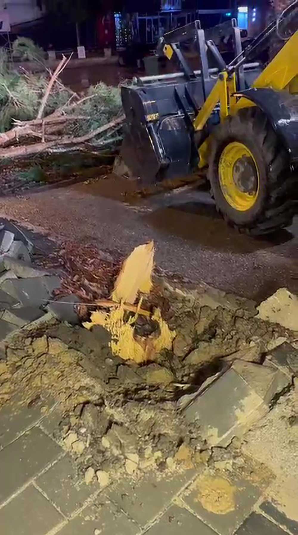 Denizlide Firtina Agaclari Devirdi Catilari Ucurdu 3