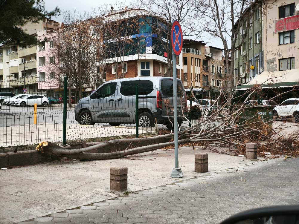 Denizlide Siddetli Ruzgar Hayati Olumsuz Etkiledi Catilar Uctu Insanlar Yuruyemedi 3
