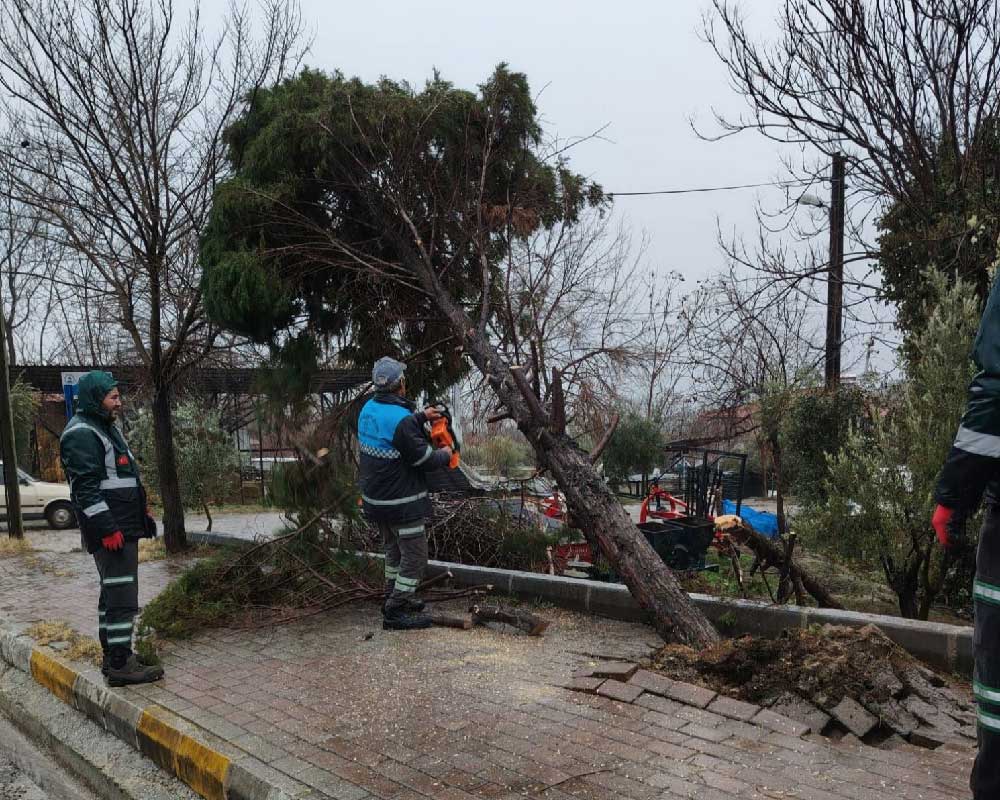 Pamukkale Belediyesi Ekiplerinden Firtina Ve Saganak Yagisa Hizli Mudahale 1