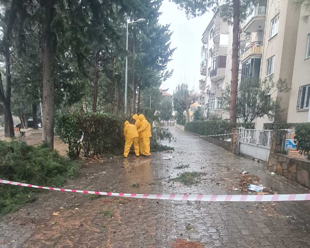 Pamukkale Belediyesi Ekiplerinden Firtina Ve Saganak Yagisa Hizli Mudahale 2