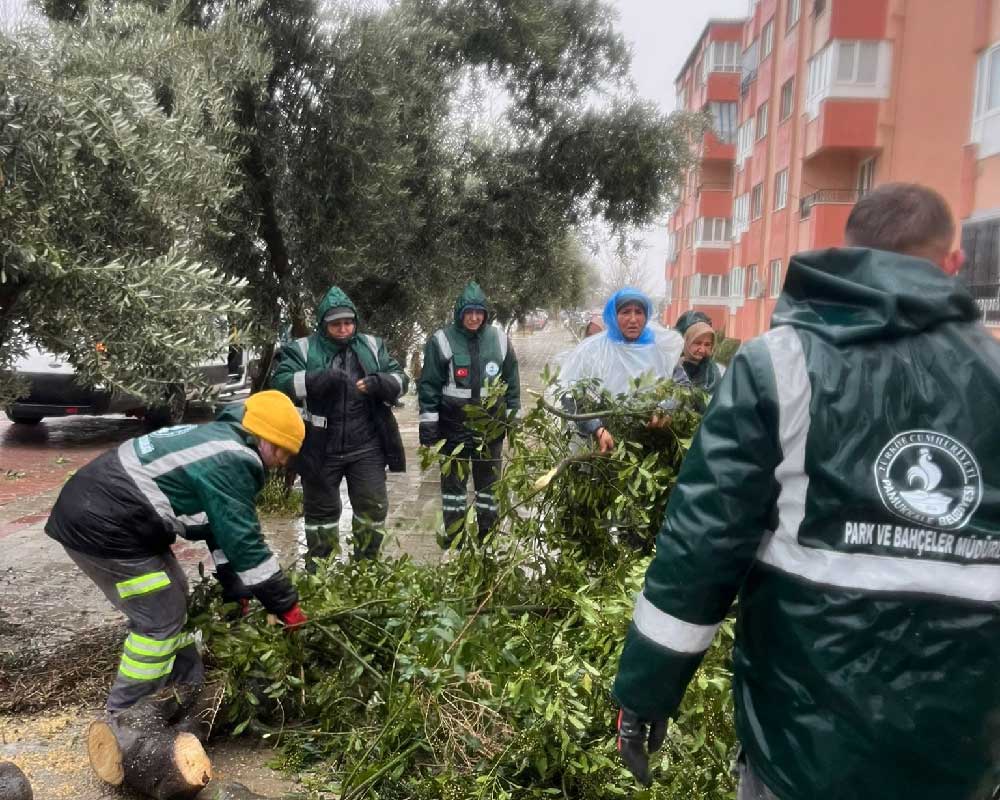 Pamukkale Belediyesi Ekiplerinden Firtina Ve Saganak Yagisa Hizli Mudahale 4