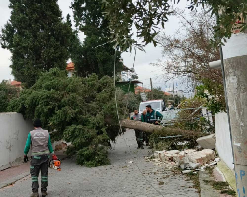 Pamukkale Belediyesi Ekiplerinden Firtina Ve Saganak Yagisa Hizli Mudahale 5