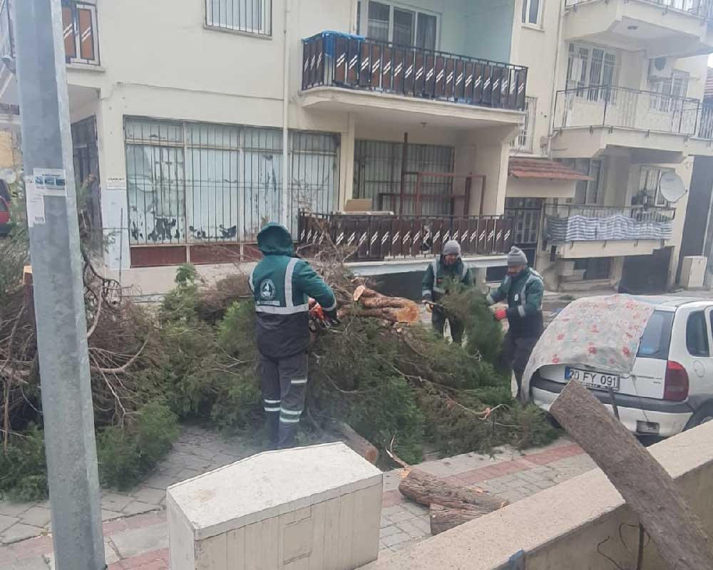 Pamukkale Belediyesi Ekiplerinden Firtina Ve Saganak Yagisa Hizli Mudahale 6
