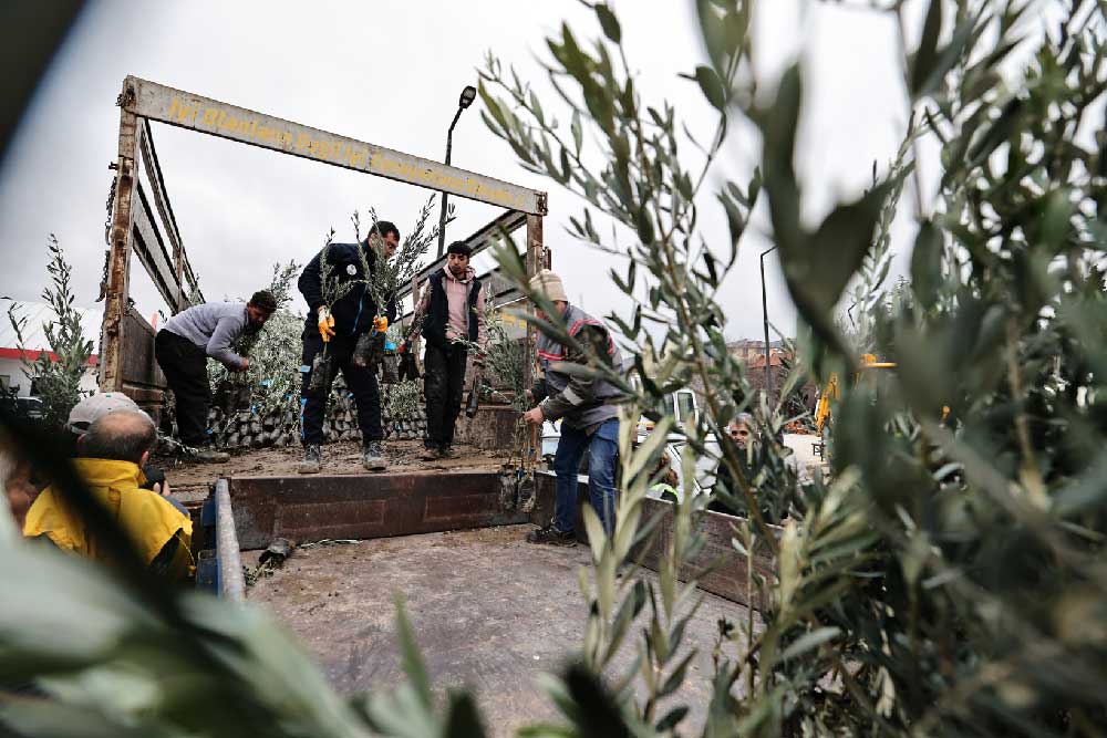 19 Ilcede Binlerce Fidan Toprakla Bulusacak 1