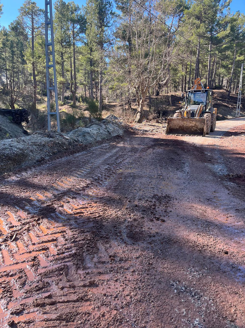 Denizli Cameli Sel Yara