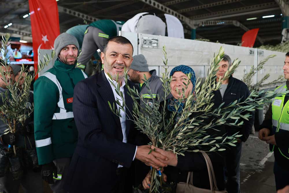 Denizlide Zeytin Seferberligi 84 Bin Fidan Toprakla Bulustu1