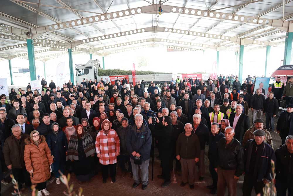 Denizlide Zeytin Seferberligi 84 Bin Fidan Toprakla Bulustu2