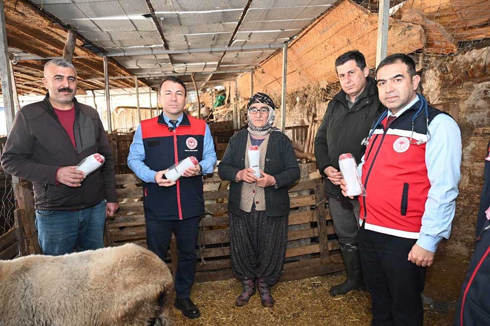 Tarim Teskilati Koyunu 9 Doguran Besiciyi Ziyaret Etti 2