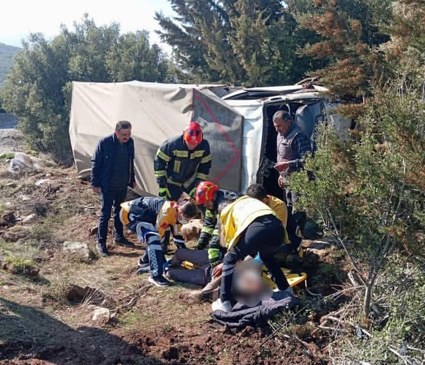 Tavas Denizli Yolu Kaza 2 Yarali Hayvanlar Sag4