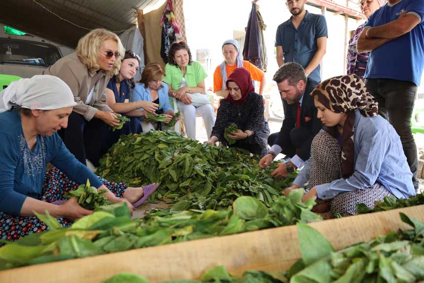 Tutun Ureticisi Alarm Veriyor Borc 100 Milyonu Gecti Alimlar Durdu