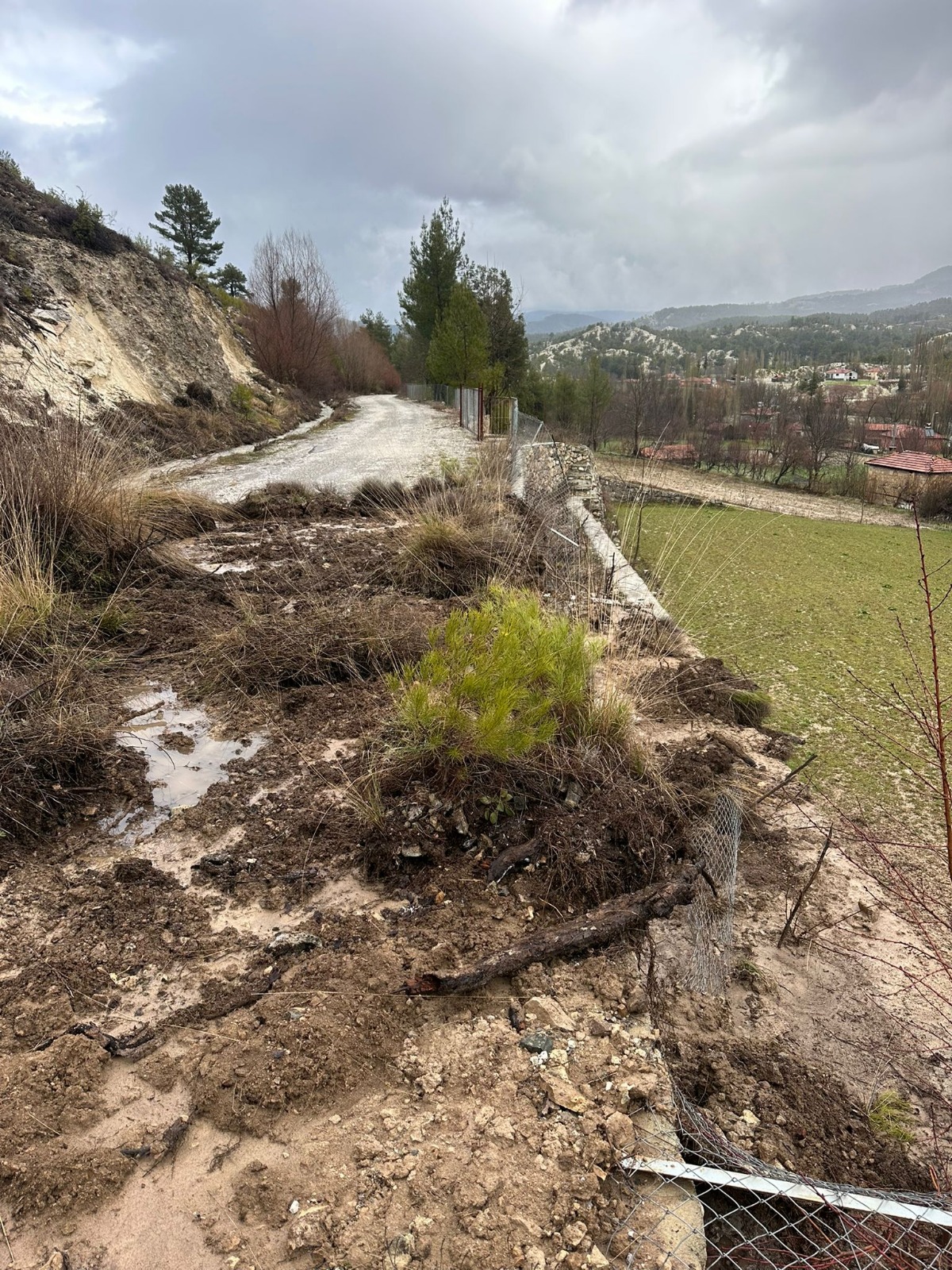 Whatsapp Image 2026 02 13 At 17.08.14