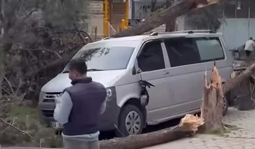 Denizlide Firtinadan Catilar Uctu Araclar Agir Hasar Aldi 2