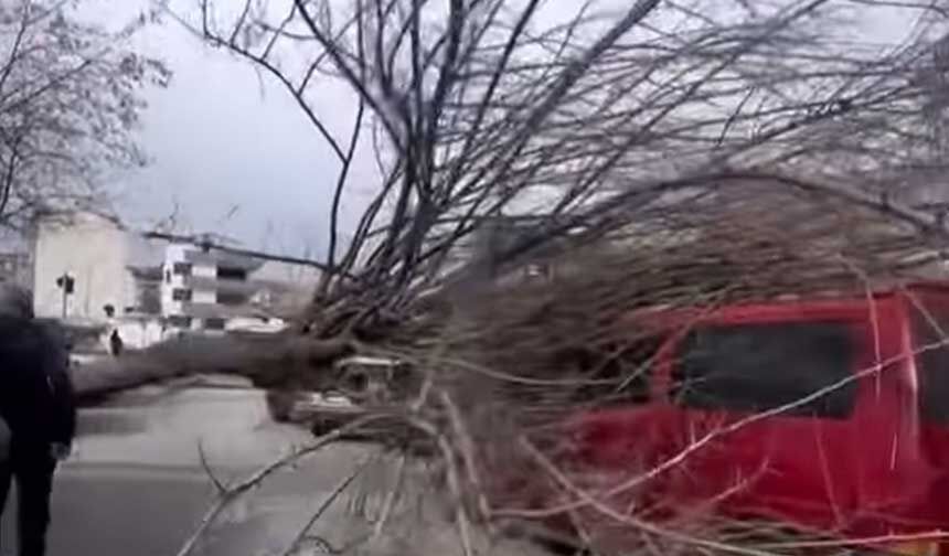 Denizlide Firtinadan Catilar Uctu Araclar Agir Hasar Aldi