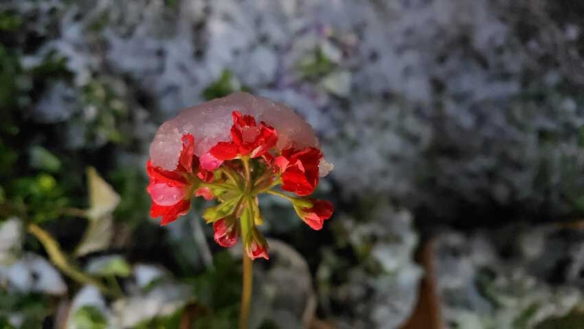 Denizlinin Bircok Ilcesi Beyaz Ortuyle Kaplandi 4