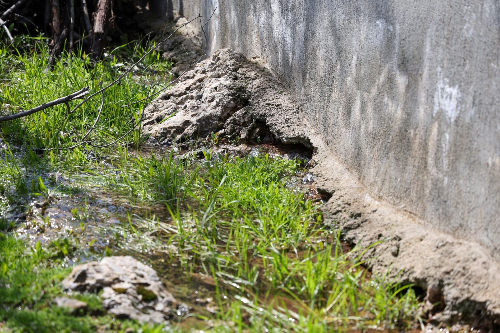 Whatsapp Image 2026 03 05 At 17.10.28