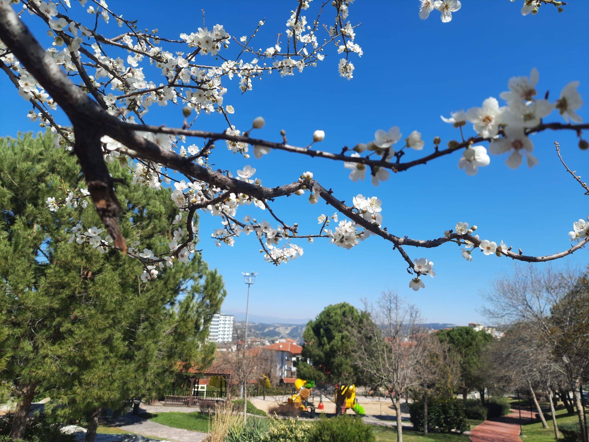 Whatsapp Image 2026 03 13 At 01.42.20