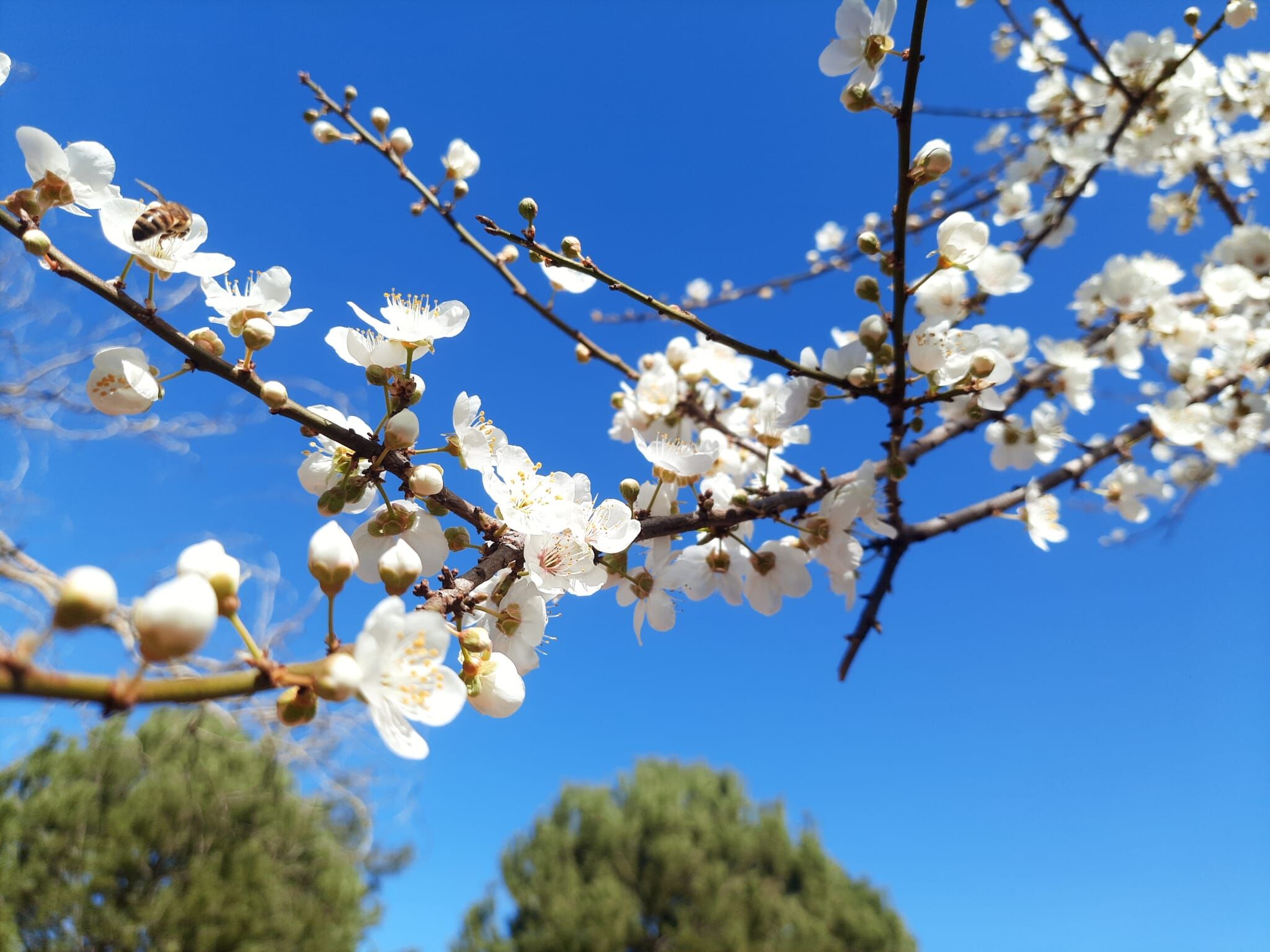 Whatsapp Image 2026 03 13 At 01.43.14