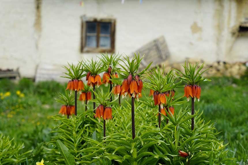 Aglayan Gelinler 5 Yil Sonra Bahari Karsiladi 3