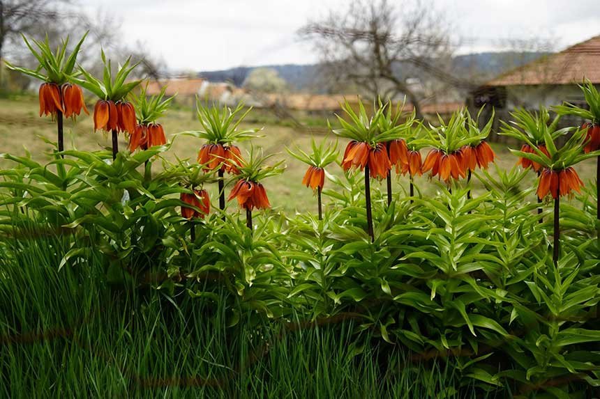 Aglayan Gelinler 5 Yil Sonra Bahari Karsiladi 4