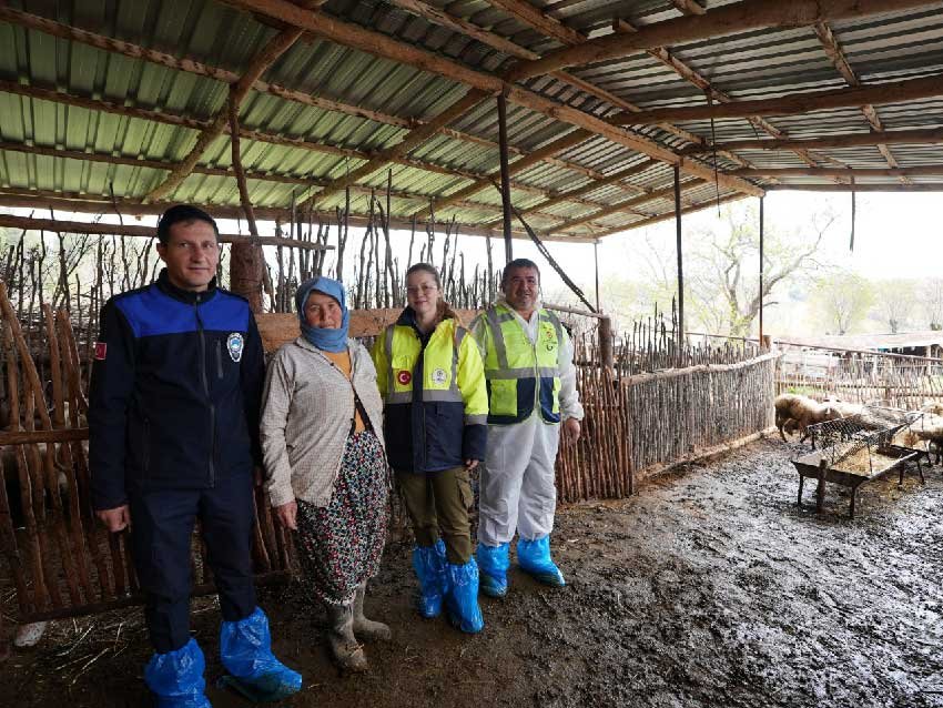 Baskan Cavusoglunun Hayvancilik Hamlesine Ureticiden Tam Not 3