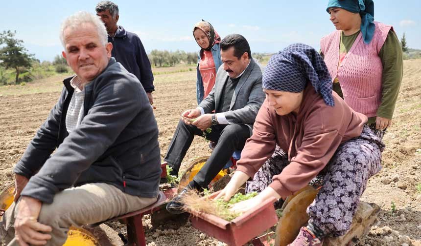 Baskan Ertemur Makamda Degil Tarlada Ter Doktu 2