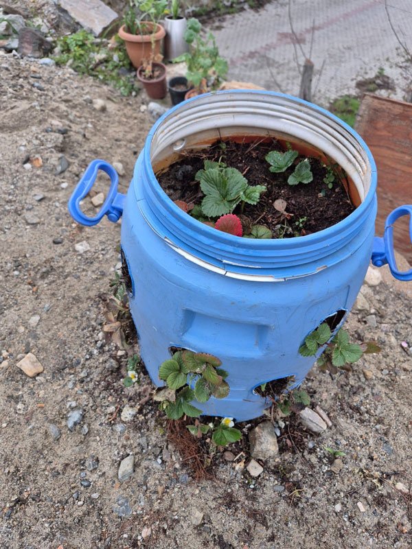 Buldanli Ciftcilerden Akilli Yontem Atik Malzemelerle Verim Artiyor1