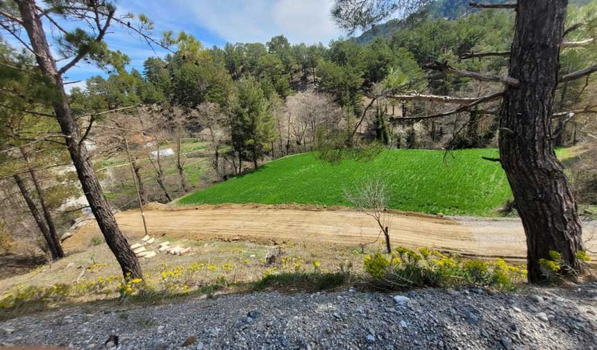 Camelnin Mahallelerinde Asfalt Seferberligi 1